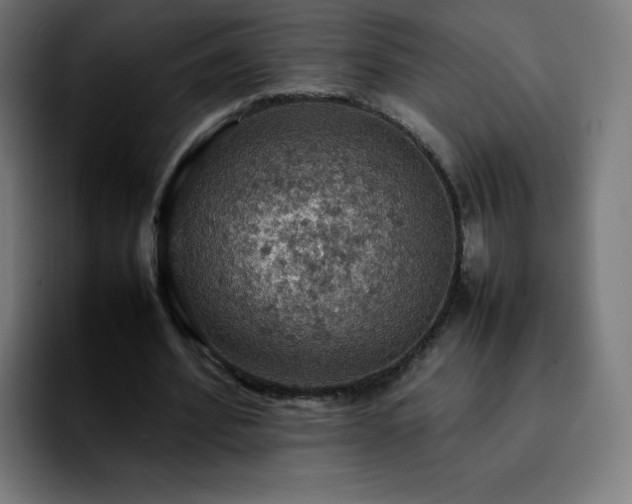 X0000092220580200709211009