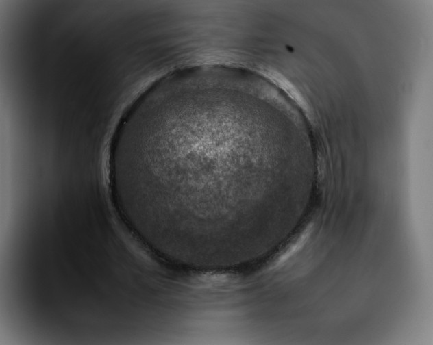 X0000092220581200709211009