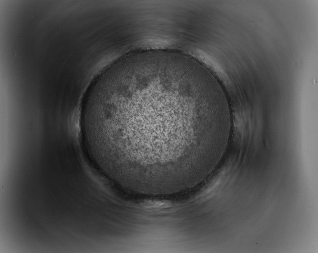 X0000092220582200709211009