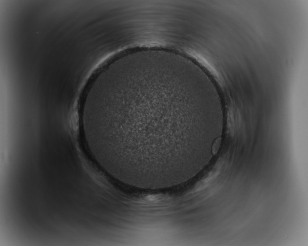 X0000092220584200709211009