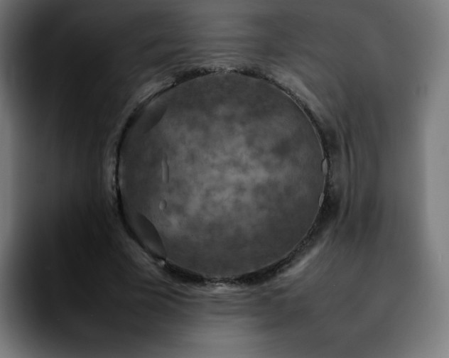 X0000092220585200709211009