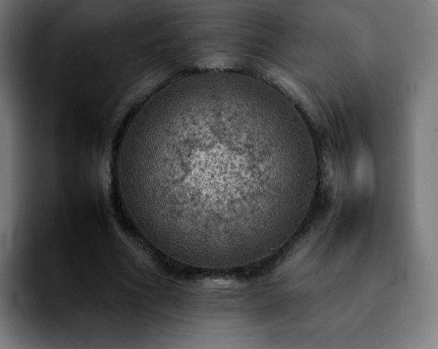 X0000092220586200709211009