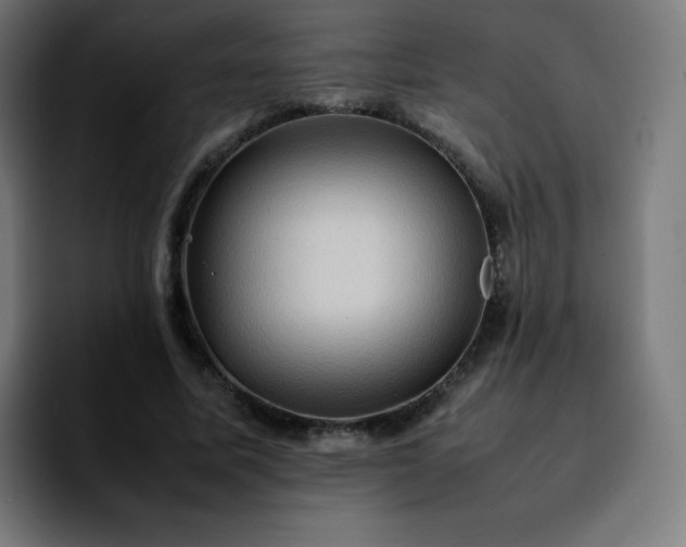 X0000092220587200709211009