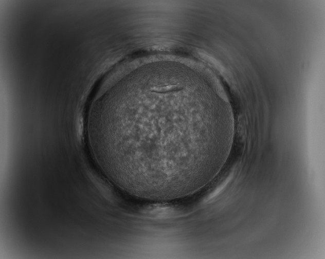 X0000092220589200709211009