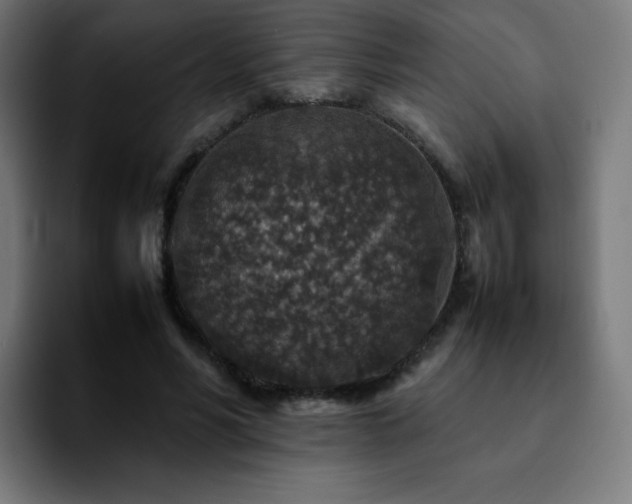 X0000092220590200709211009
