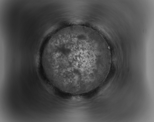 X0000092220591200709211009