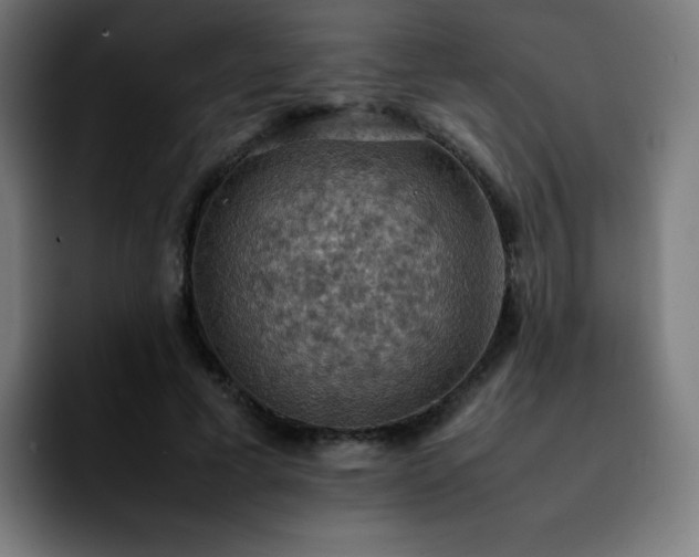 X0000092220593200709211009
