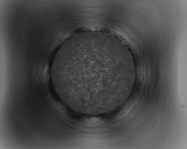 X0000092220594200709211009