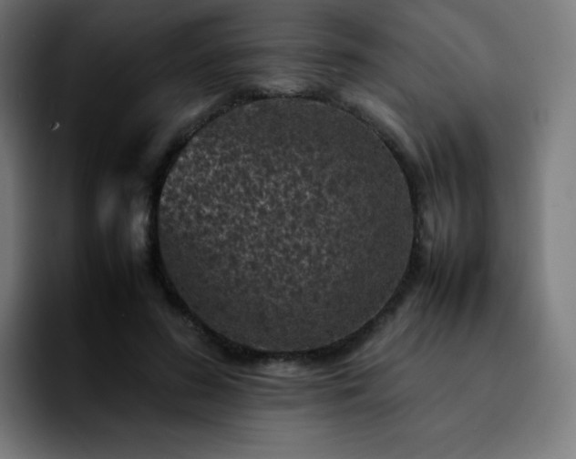 X0000092220596200709211009