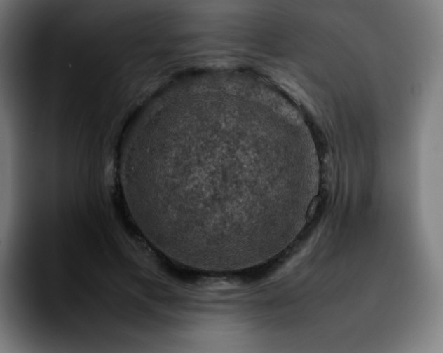 X0000092220597200709211009