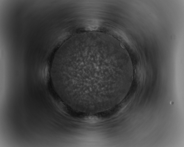 X0000092220598200709211009