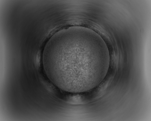 X0000092220600200709211009
