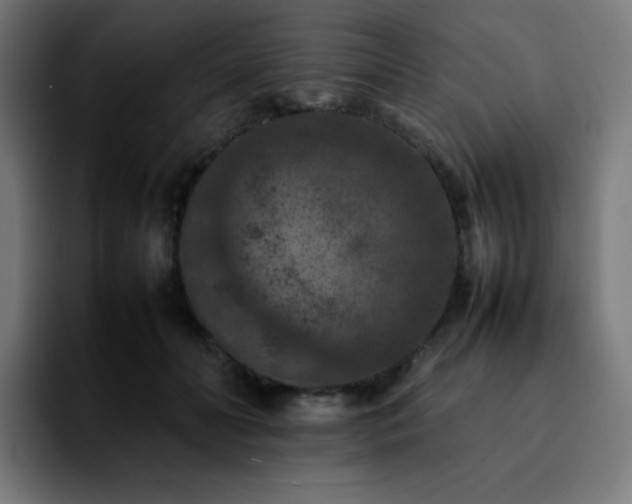 X0000092220606200709211009