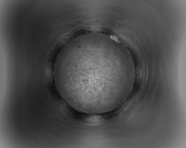 X0000092220609200709211009