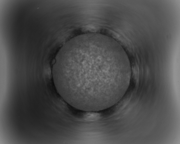 X0000092220617200709211009