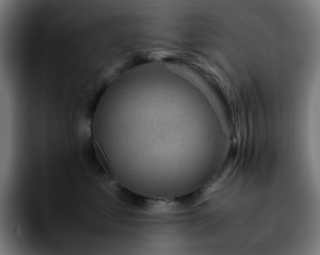 X0000092220621200709211009