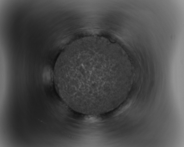 X0000092220624200709211009