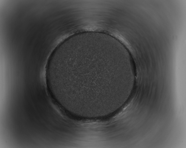 X0000092220626200709211008
