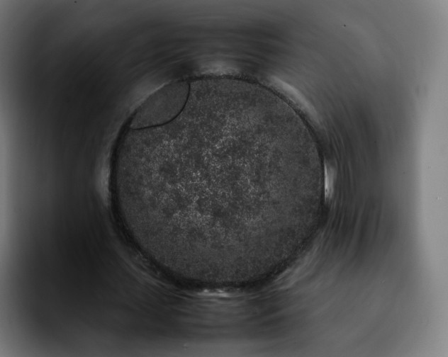 X0000092220627200709211008
