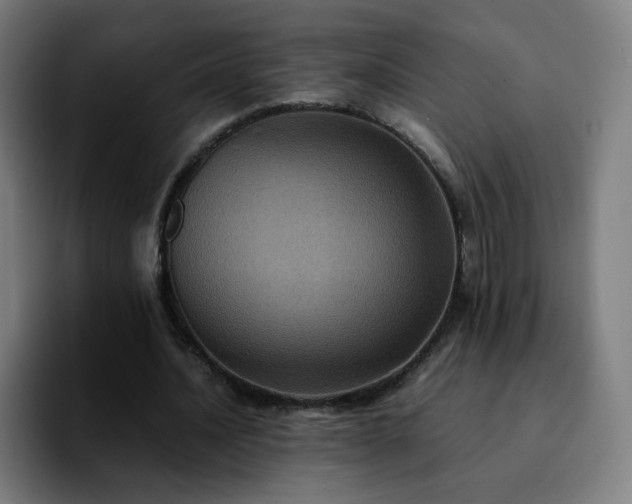 X0000092220628200709211008