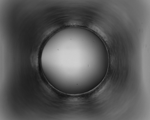 X0000092220629200709211008