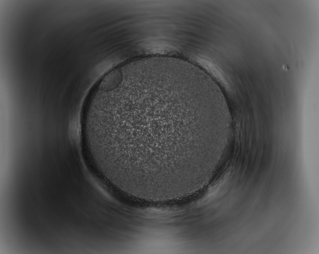 X0000092220630200709211008
