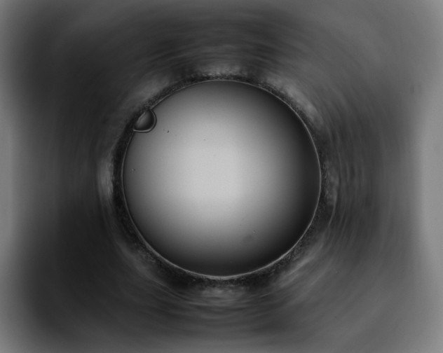 X0000092220631200709211008