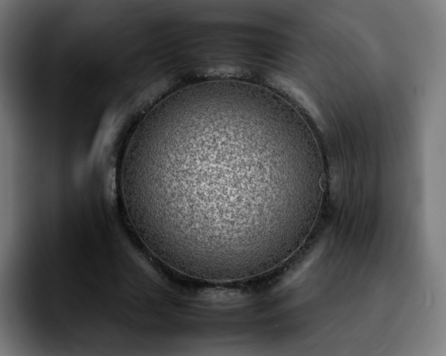 X0000092220633200709211008