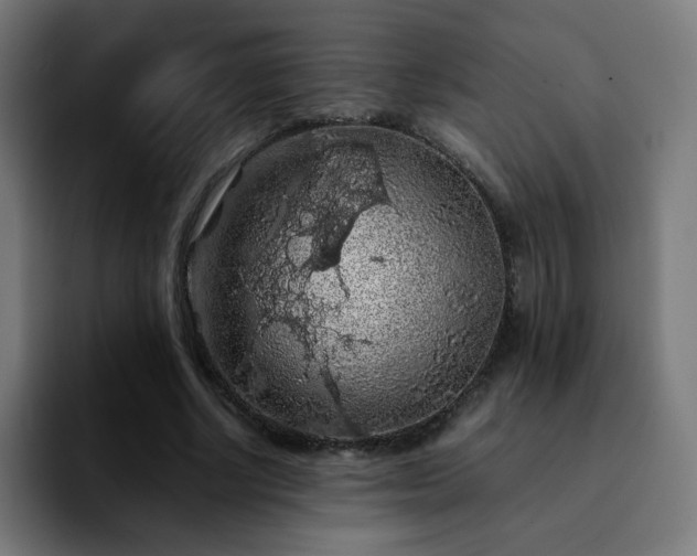 X0000092220634200709211008