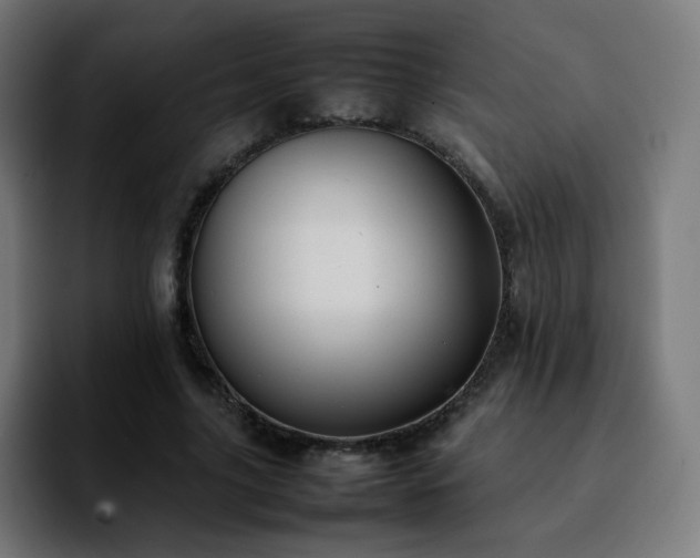 X0000092220635200709211008