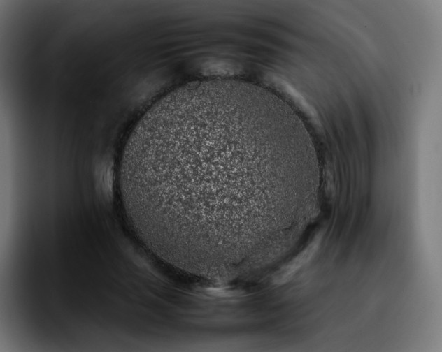 X0000092220637200709211008
