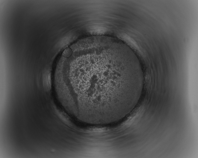 X0000092220638200709211008