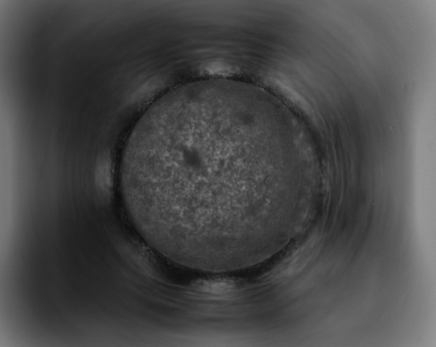 X0000092220639200709211008