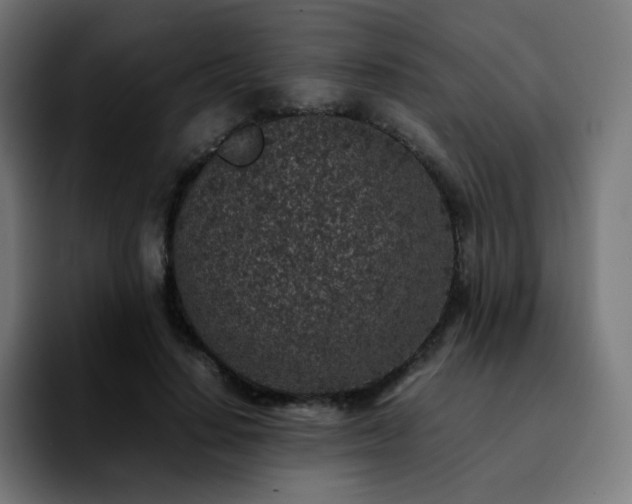 X0000092220644200709211008