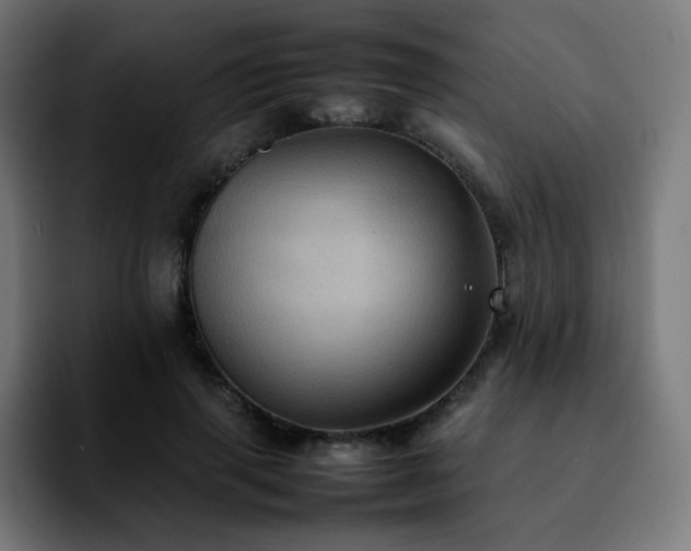 X0000092220645200709211008
