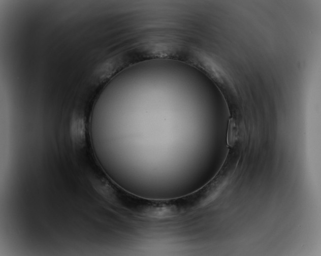 X0000092220646200709211008