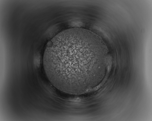 X0000092220647200709211008