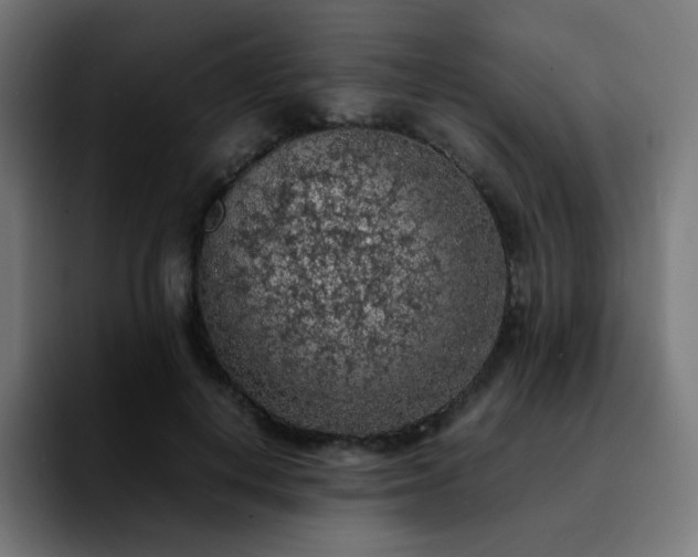 X0000092220648200709211008