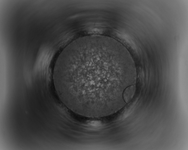 X0000092220649200709211008