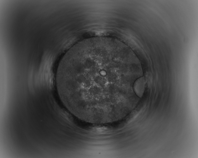 X0000092220650200709211008