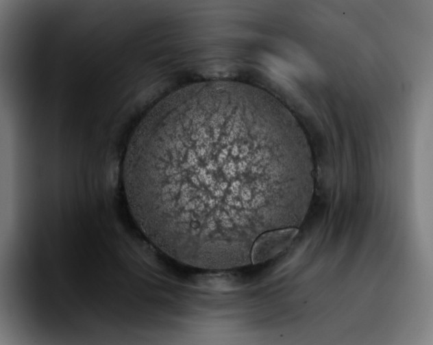 X0000092220652200709211008