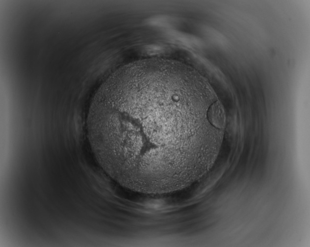 X0000092220653200709211008