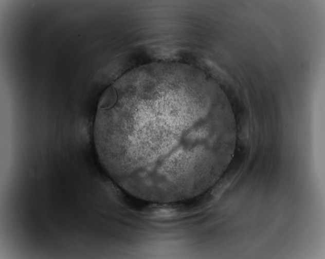 X0000092220658200709211008