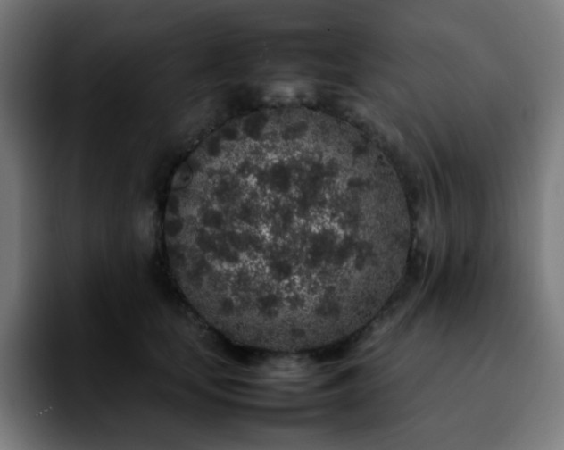 X0000092220659200709211008