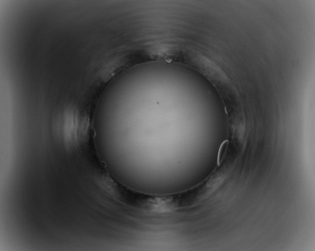 X0000092220660200709211008