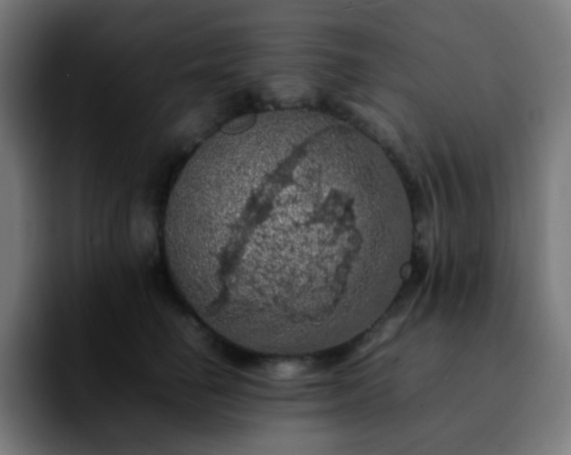X0000092220662200709211008
