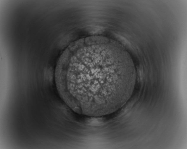 X0000092220664200709211008