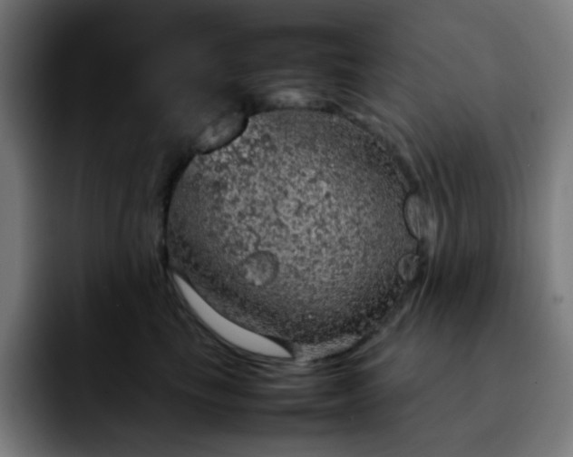 X0000092220665200709211008