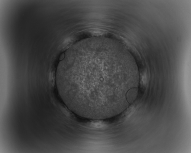 X0000092220666200709211009