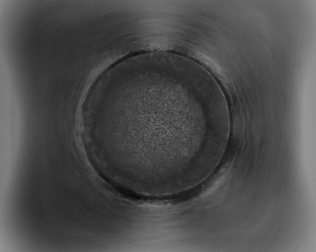X0000092220673200709211008